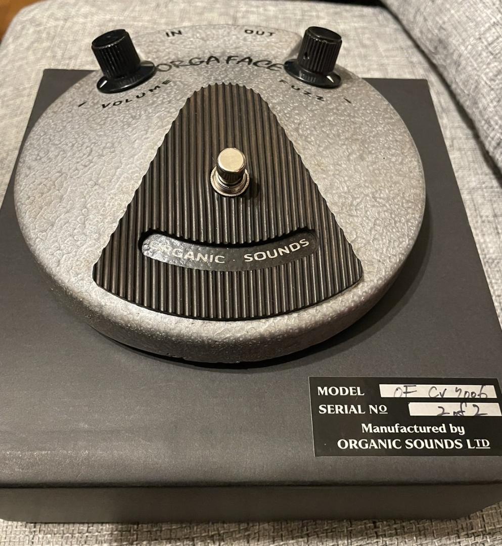 ギター Orga Face CV 7006 CULT Organic Sounds