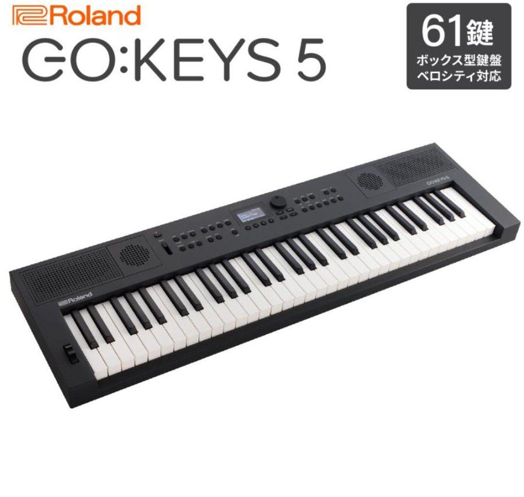 Roland(ローランド) / GO:KEYS 5 (GOKEYS5-GT)