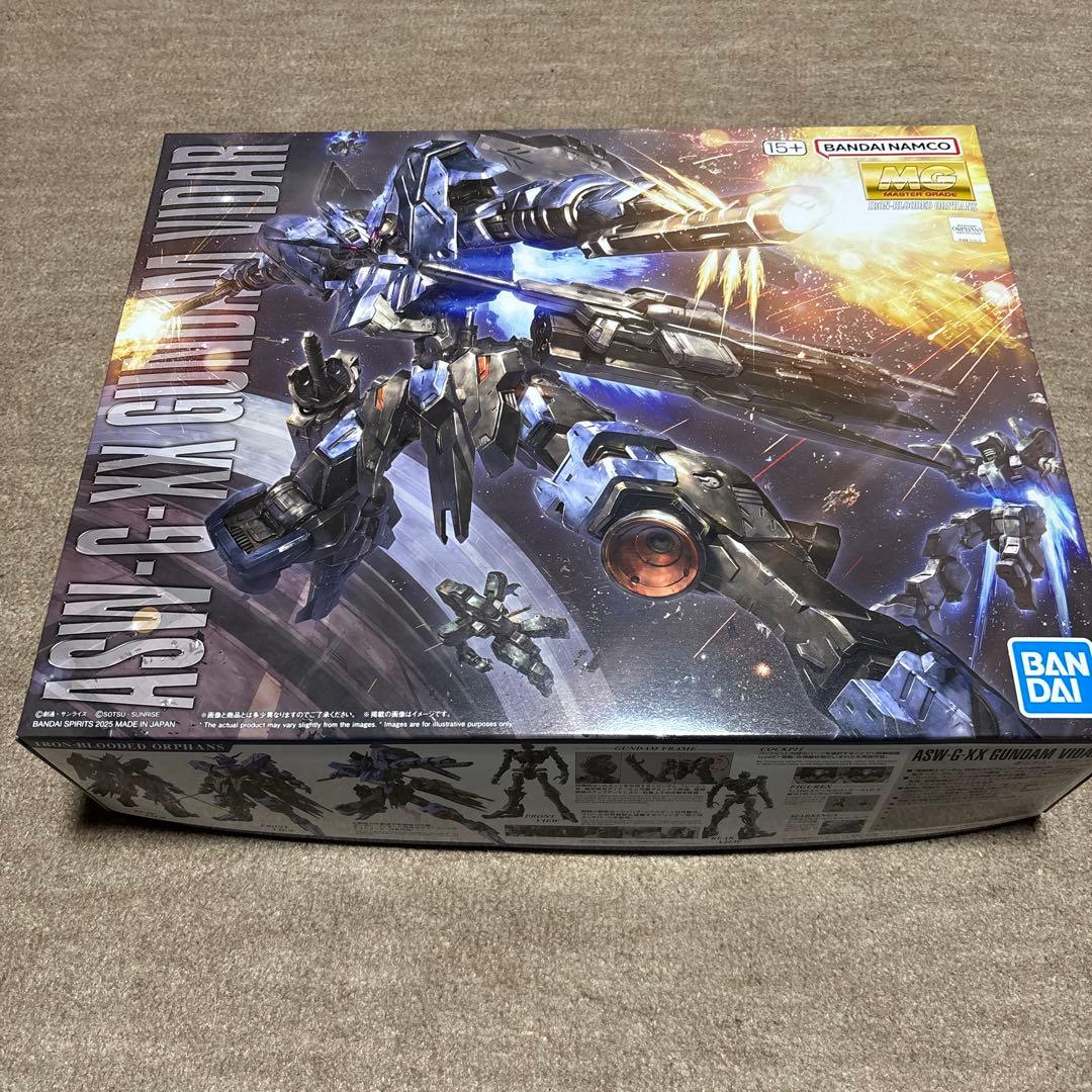 MG 1/100 ガンダムヴィダール